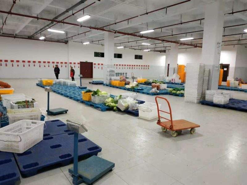 食材配送安全与学校食堂管控指南