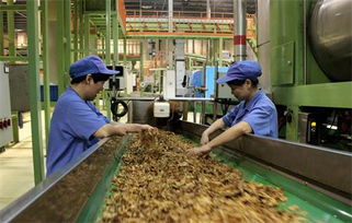 洛阳卷烟厂强化生产节点管控，严把食材安全关